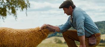 GLENNKILL: EIN SCHAFSKRIMI