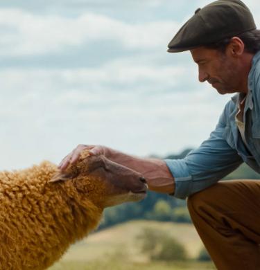 GLENNKILL: EIN SCHAFSKRIMI