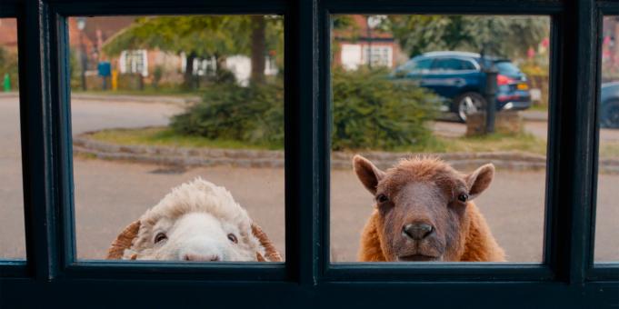 Mopple et Lily dans BÊÊÊÊTECTIVE PRIVÉ, produit par Amazon MGM Studios.  © Sony Pictures Releasing Switzerland GmbH