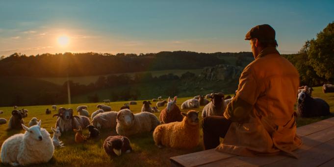 (de gauche à droite) Cloud, Daisy, Sir Ritchfield, Pickles, Oliver, Wool-Eyes, Zora, Mopple, le mouton évanoui, Lily, Reggie et Ronnie, ainsi que Hugh Jackman dans le rôle de George Hardy dans « Bêêêêtective Privé » d’Amazon MGM Studios. Crédit photo : avec l’aimable autorisation d’Amazon MGM Studios  © Sony Pictures Releasing Switzerland GmbH