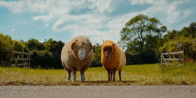 Mopple und Lily in GLENNKILL: EIN SCHAFSKRIMI von Amazon MGM Studios. Bildnachweis: Mit freundlicher Genehmigung von Amazon MGM Studios   © 2026 Amazon Content Services LLC. Alle Rechte vorbehalten.