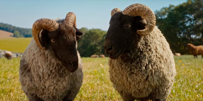 Reggie und Ronnie in GLENNKILL: EIN SCHAFSKRIMI von Amazon MGM Studios. Bildnachweis: Mit freundlicher Genehmigung von Amazon MGM Studios   © 2026 Amazon Content Services LLC. Alle Rechte vorbehalten.